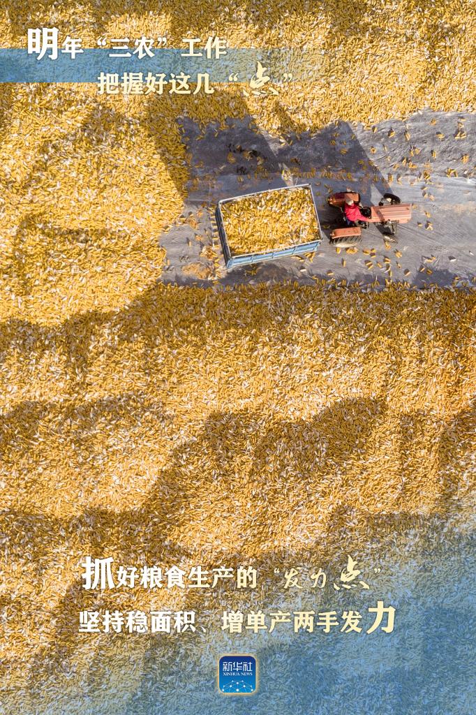 明年“三農(nóng)”工作，這幾個(gè)“點(diǎn)”要把握好