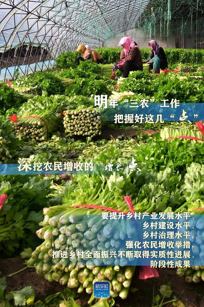 明年“三農(nóng)”工作，這幾個(gè)“點(diǎn)”要把握好