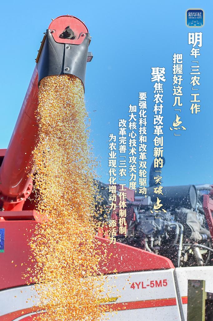 明年“三農(nóng)”工作，這幾個(gè)“點(diǎn)”要把握好