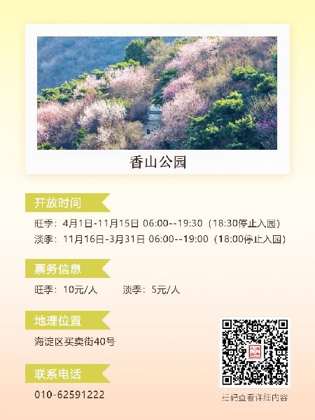 追花指南第六期！杏花雨 楊柳風(fēng) 北京最美的杏花在這里