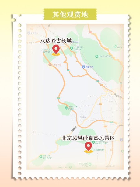 追花指南第六期！杏花雨 楊柳風(fēng) 北京最美的杏花在這里