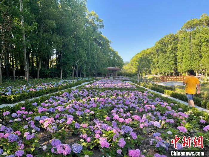 納民意、匯民智上海努力讓“公園城市”建設(shè)真正“合民心”