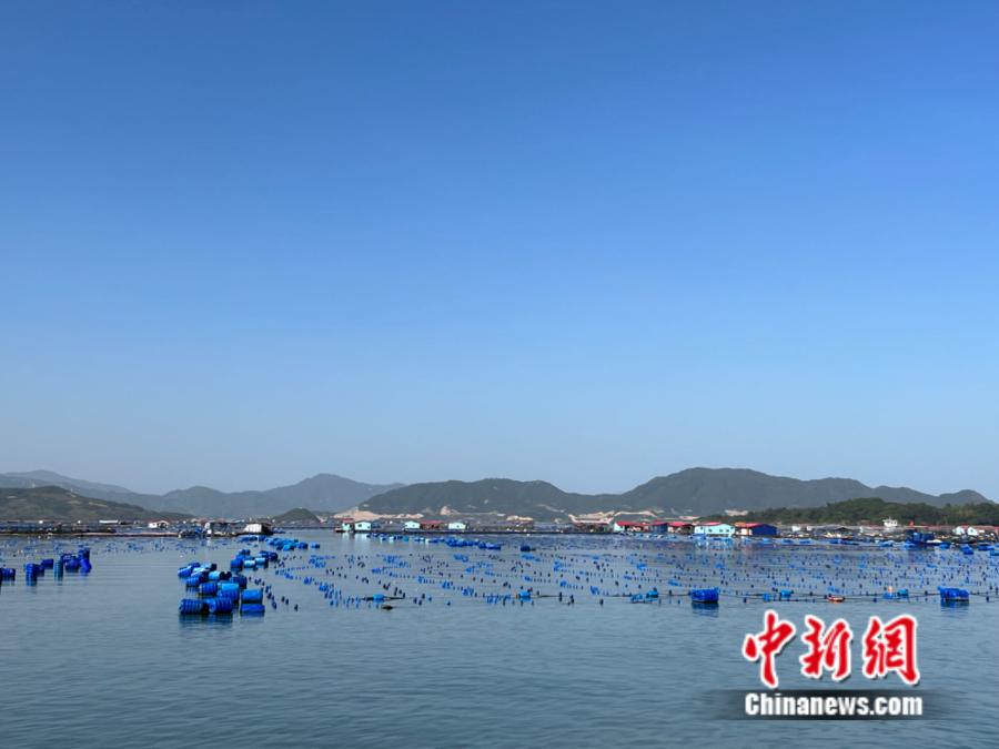 霞浦縣海上魚排。<a target='_blank' href='/' ><p  align=