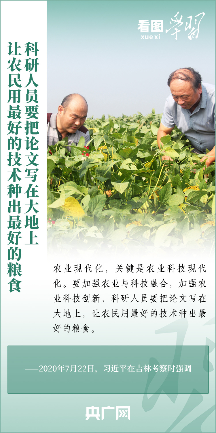 看圖學(xué)習(xí)丨推廣良田、良種、良法、良機 給農(nóng)業(yè)現(xiàn)代化插上科技的翅膀