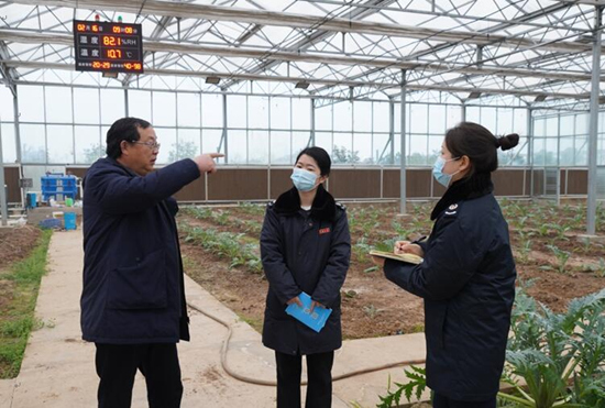 稅務干部走進常德市西洞庭管理區(qū)的朝鮮薊種植基地，宣傳稅費優(yōu)惠政策，助力農企搶農時、抓春耕、穩(wěn)增長。吳家豪攝