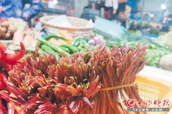 　　農(nóng)貿(mào)市場(chǎng)里鮮嫩的香椿?！　【鶠殚L(zhǎng)沙晚報(bào)全媒體記者 劉捷萍 攝