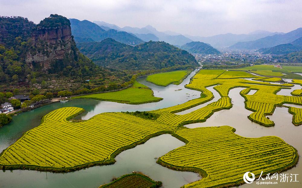 3月28日，航拍浙江省臨海市桃渚鎮(zhèn)桃江十三渚盛開的油菜花景色。人民網(wǎng) 章勇濤攝