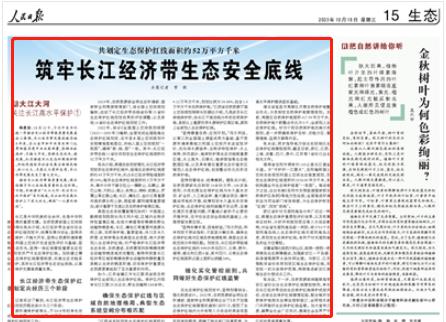 人民日報。截圖