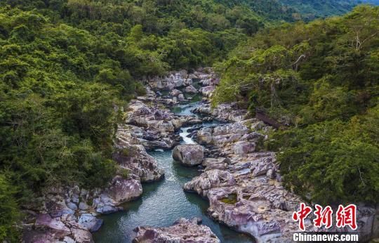 2018年海南生態(tài)環(huán)境狀況等級為“優(yōu)”，植被覆蓋率高，生物多樣性豐富，生態(tài)系統(tǒng)穩(wěn)定，圖為海南中部熱帶雨林?！●樤骑w　攝