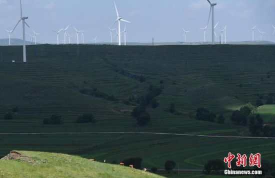 6月28日，河北張家口張北草原上大片風(fēng)力發(fā)電的“風(fēng)車”規(guī)模宏大。 中新社記者 楊艷敏 攝