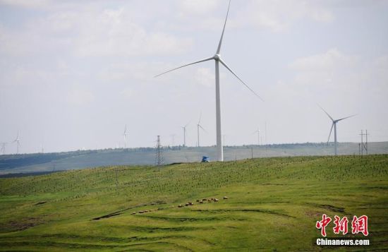 6月28日，河北張家口張北草原上大片風(fēng)力發(fā)電的“風(fēng)車”規(guī)模宏大。 中新社記者 楊艷敏 攝