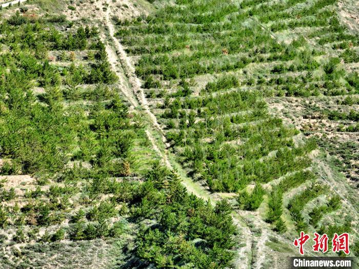 航拍建行青海省分行綠化區(qū)?！∑钤鲚?攝