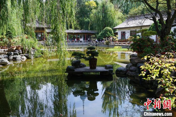 圖為西寧園林植物園秋日風(fēng)景別有韻味。　馬銘言 攝