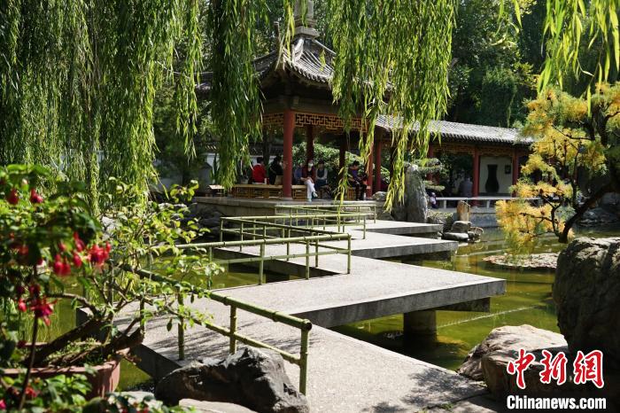 圖為西寧園林植物園秋日風(fēng)景別有韻味。　馬銘言 攝