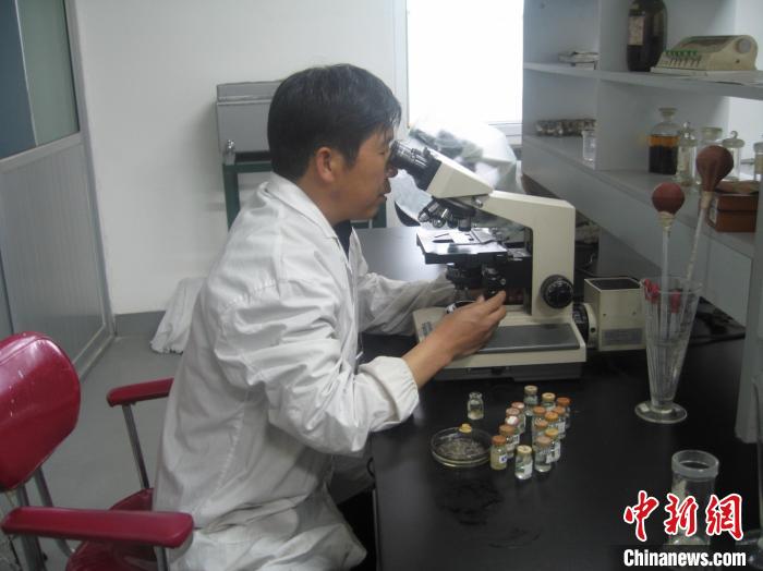 資料圖為研究團隊進行實驗室寄生蟲分類鑒定?！?青海省畜牧獸醫(yī)科學院供圖