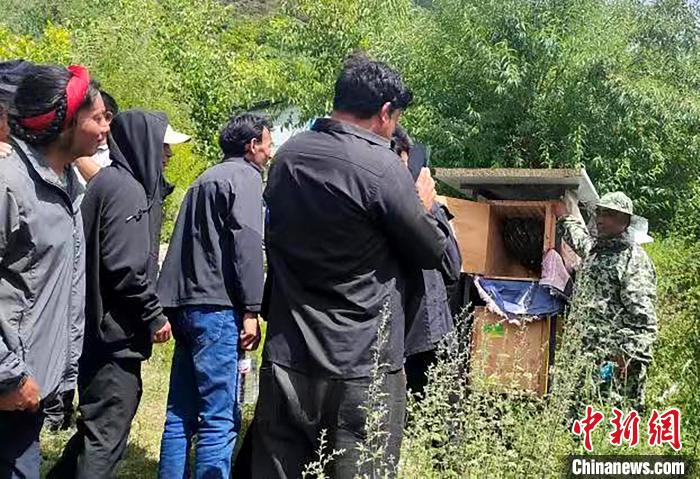 拉久西村村民學(xué)習(xí)養(yǎng)蜂工作流程和防范事項(xiàng)?！〔际忻⒖悼h委宣傳部供圖