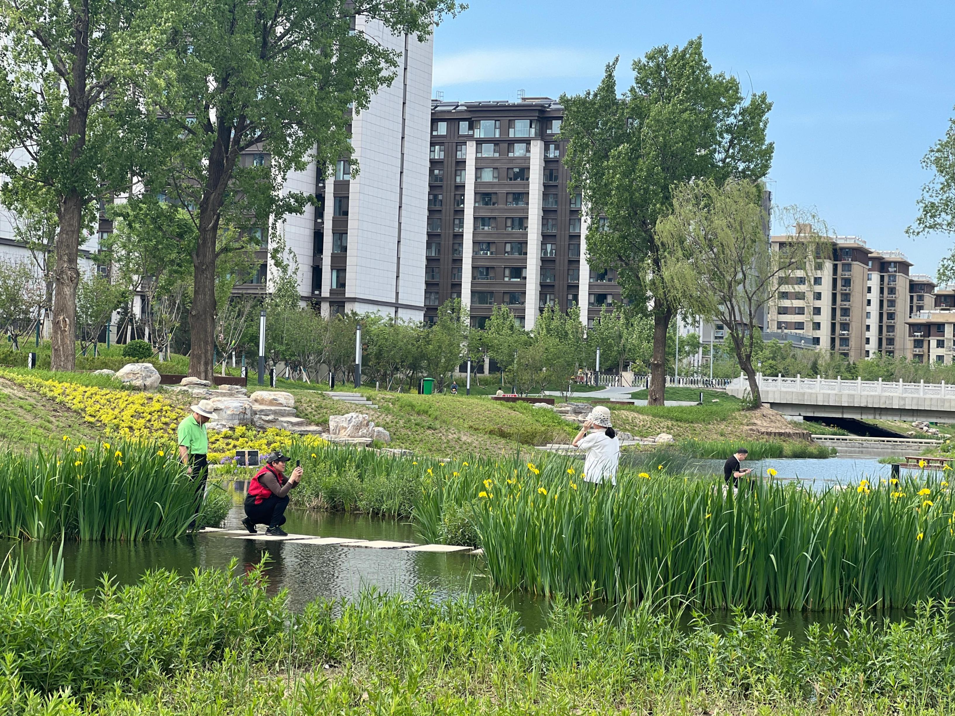 五一渠生態(tài)濱河公園內(nèi)，市民正在拍照留念。人民網(wǎng) 歐陽易佳攝