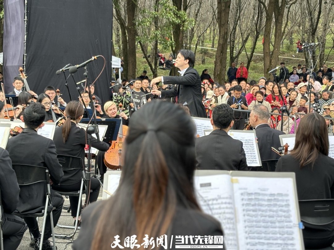 貴陽路邊音樂會(huì)·貴安櫻花園專場交響樂現(xiàn)場。丁亞 文丹 攝