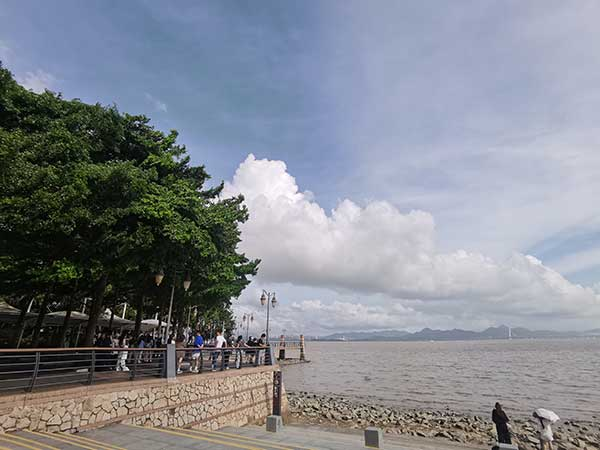 紅樹(shù)林灘涂沿線一角。人民網(wǎng)記者 張素玲攝
