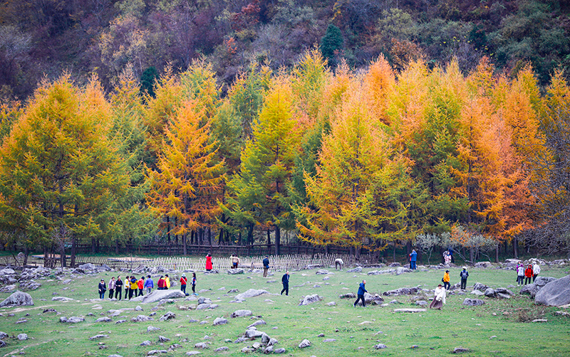2023年10月27日，深秋時節(jié)的陜西秦嶺太子嶺漫山紅黃、色彩交織，進入最佳觀賞期。
