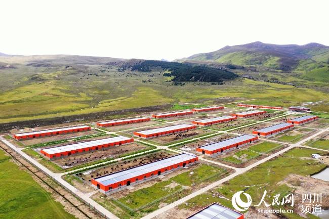 建設(shè)中的理塘縣牦牛產(chǎn)業(yè)園。葉強(qiáng)平攝