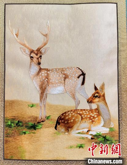 圖為藏繡作品?！∑钤鲚?攝