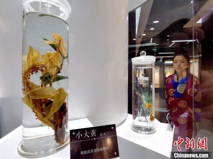 青海中藏醫(yī)藥發(fā)展提速：建設一批重點?？茖W科，推廣一批適宜技術