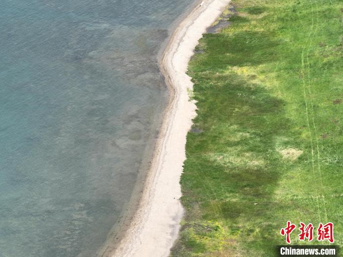 圖為航拍仲夏時節(jié)，青海湖畔綠茵如毯?！∑钤鲚?攝