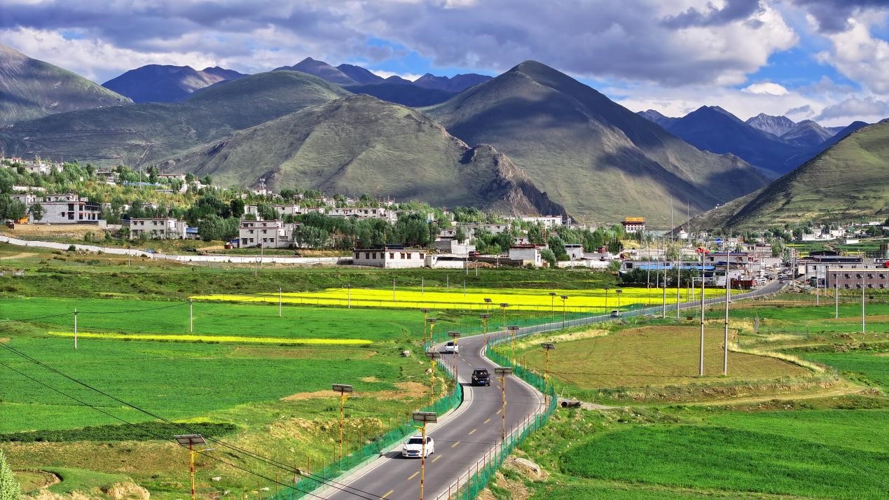 油菜花開(kāi)“金”滿(mǎn)地。墨竹工卡縣委宣傳部 洛克攝