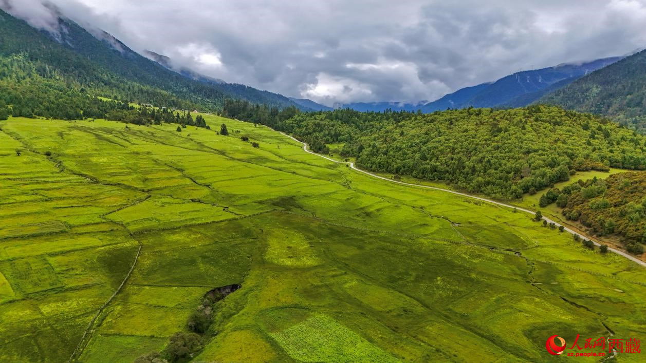 圖為航拍高山牧場鳥瞰圖。人民網(wǎng)記者 次仁羅布攝