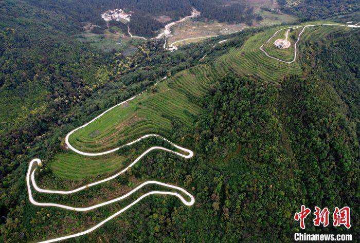 圖為西藏林芝市墨脫縣背崩鄉(xiāng)格林村山頂?shù)木坝^茶園。(無人機(jī)照片) 李林 攝