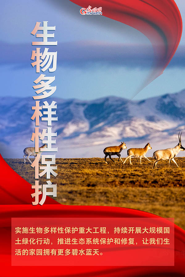 海報| 2021年政府工作報告，提到這些生態(tài)環(huán)保關(guān)鍵詞